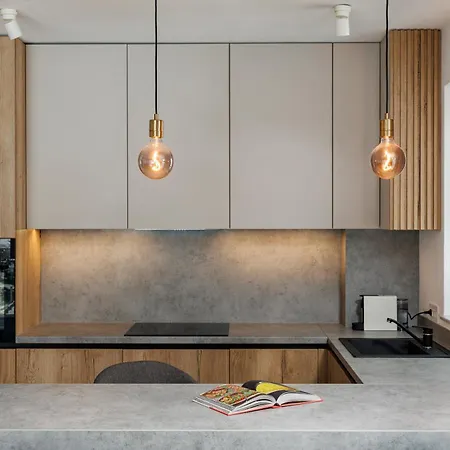 Kudo - Mountain & Skyline View * Braşov